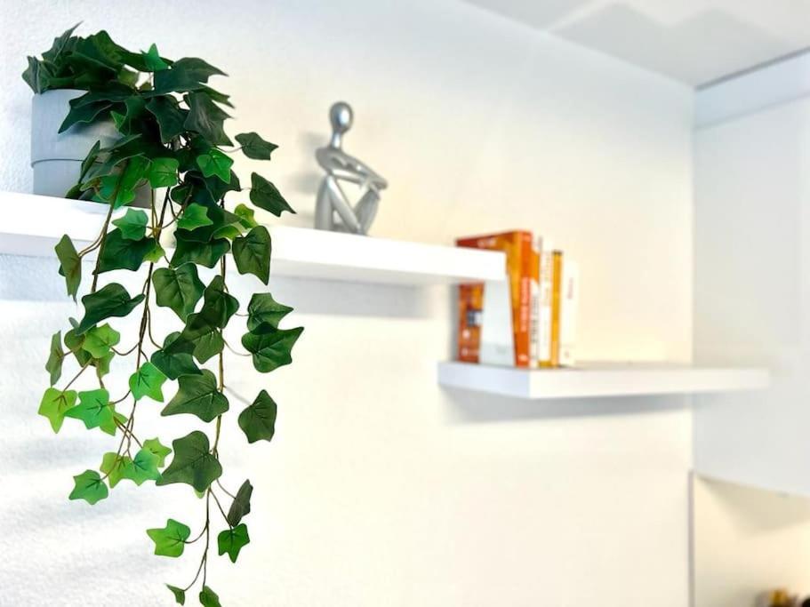 Appartamento Casa Ambizione Dietikon Esterno foto