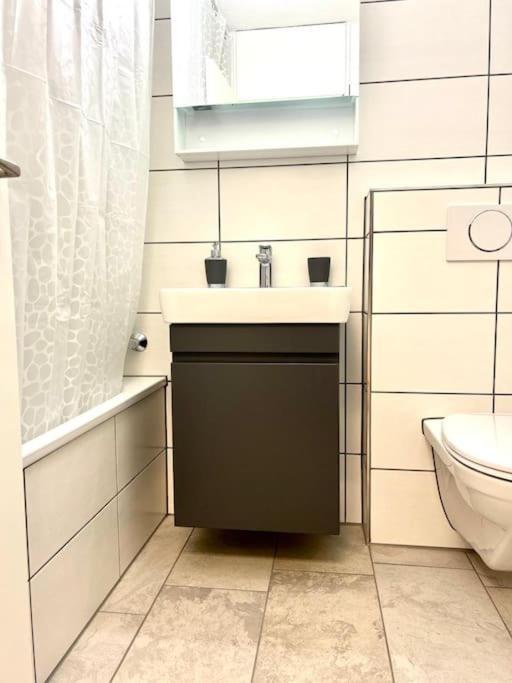 Appartamento Casa Ambizione Dietikon Esterno foto
