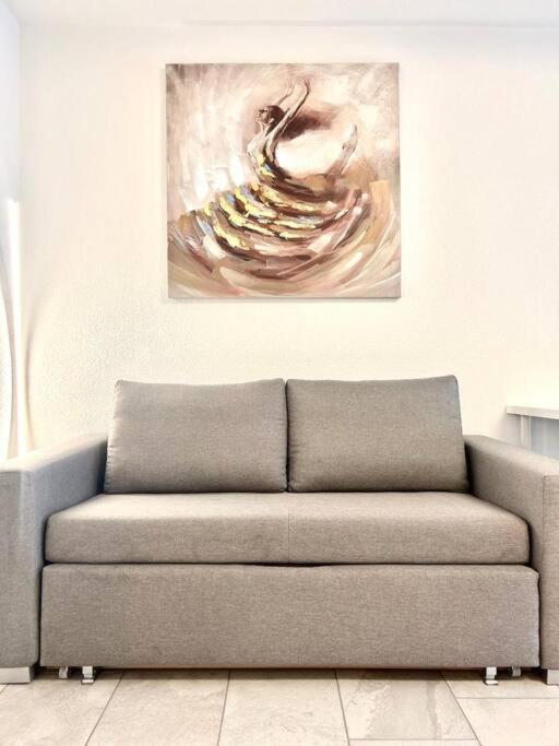 Appartamento Casa Ambizione Dietikon Esterno foto